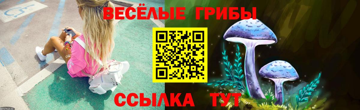 Псилоцибиновые грибы Psilocybine cubensis Сунжа