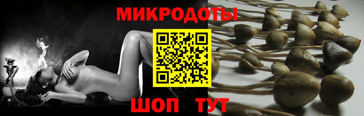 Галлюциногенные грибы прущие грибы  Вход с VPN  Сунжа 